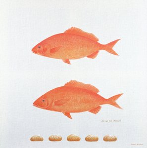 Nourrit cinq mille, 2005 - Lincoln Seligman